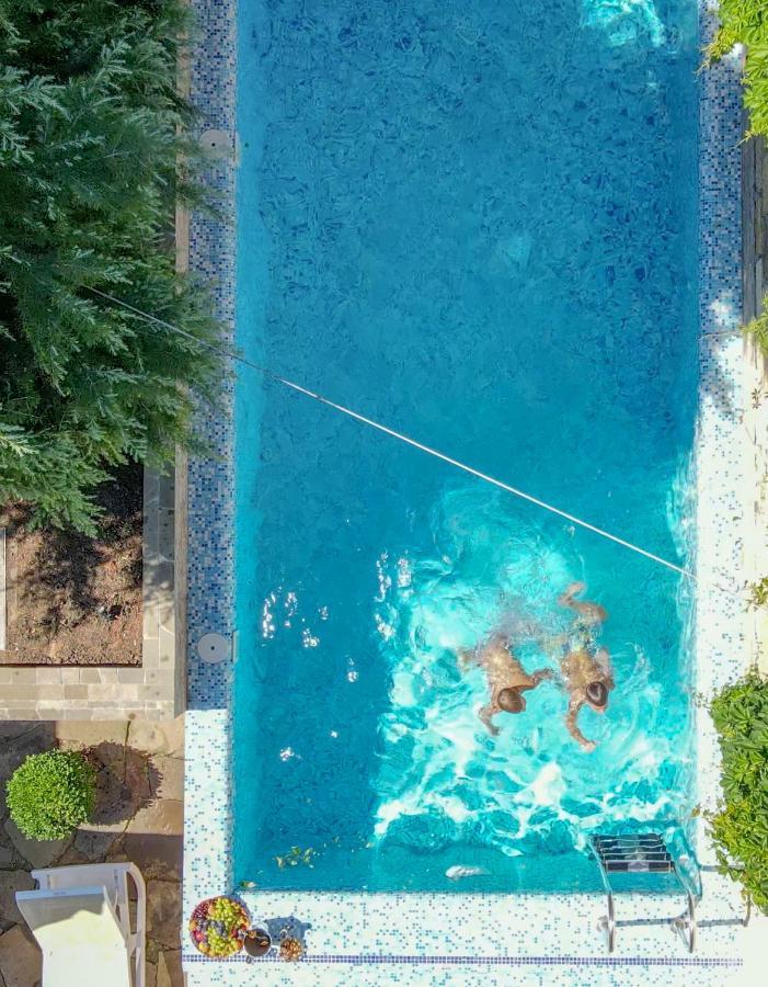Arcadia Villa Apartments Odessza Kültér fotó